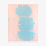 Yvonne Robert, 1/25 (Blue Poppy), 2025