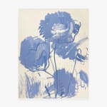 Adrian Holmes, NARCISSUS & WINDOW, 2025