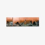 Joni Sternbach, 17.02.12 #6 Velzys Redwood Plank, 2017