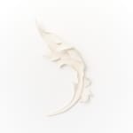 Marina Nimmo, Cornflower #2, 2025