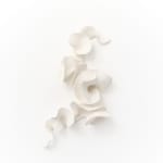 Marina Nimmo, Cornflower #2, 2025