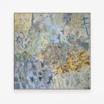 Amy Wright, PASSION FLOWER (Herbertiana Native), 2024