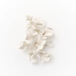 Marina Nimmo, Cornflower #2, 2025