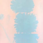 Yvonne Robert, 1/25 (Blue Poppy), 2025