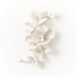 Marina Nimmo, Cornflower #2, 2025