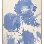 Adrian Holmes, NARCISSUS & WINDOW, 2025