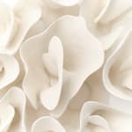 Marina Nimmo, Cornflower #2, 2025