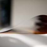 Wolfgang Tillmans, Hampstead still life, 2020