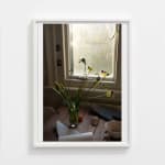 Wolfgang Tillmans, Hampstead still life, 2020