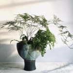 Laura Huston, Vase II, 2024