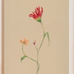 Claire Coles, Flores Coniungere (Flowers Unite) no. 04, 2024