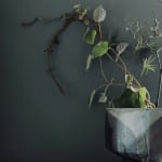 Laura Huston, Vase II, 2024