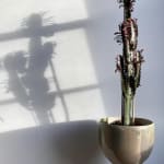 Laura Huston, Vase II, 2024