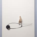Ruth Howes, Talking to the Animals - White (A1), 2021