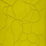 Susan Gunn, Wide Straits, 2008