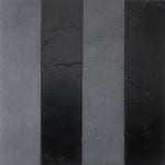 Susan Gunn, Wide Straits, 2008