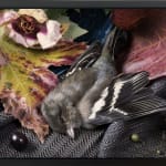 Thumbnail of additional image