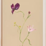 Claire Coles, Flores Coniungere (Flowers Unite) no. 02, 2024