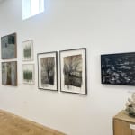 Helen Derbyshire, Floodplain 1, 2024