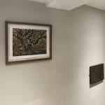 Roger Hardy, Giant Oak, Staverton, 2025