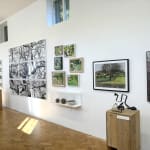 Will Cutts, Tunstall, Suffolk, 2024