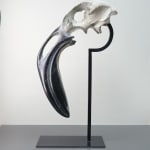 Quentin Garel, MORSE I (WALRUS), 2010