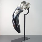 Quentin Garel, MORSE I (WALRUS), 2010