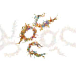 Hiromi Tango, Healing Poem, 2025