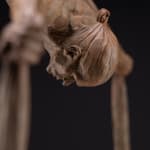 Richard MacDonald , The Guardian, Atelier, 2021