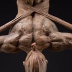 Richard MacDonald , The Guardian, Atelier, 2021