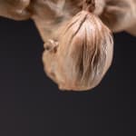 Richard MacDonald , The Guardian, Atelier, 2021