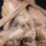 Richard MacDonald , The Guardian, Atelier, 2021