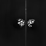 Larisa Safaryan, The Source of Life, 2022