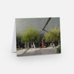 Greeting Card Set