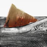 Merlyn Chesterman, Bent Tree, 2013