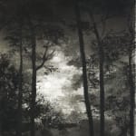 Fiona Fouhy, Nearby, 2024