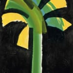 Howard Hodgkin, Night Palm, 1990-91