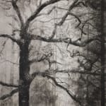 Fiona Fouhy, Rising and Falling, 2025