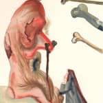 Salvador Dalí, The Ghost Spoken of (Inferno: Canto 34) , 1960-64
