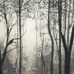 Fiona Fouhy, They Listen, 2024