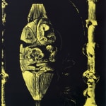 Graham Sutherland, Thorn Structure (II), 1982