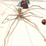 Salvador Dalí, Usurers (Inferno: Canto 17), 1960-64