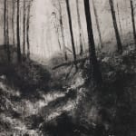 Fiona Fouhy, I Rose and Fell, 2025