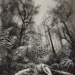 Fiona Fouhy, I Rose and Fell, 2025