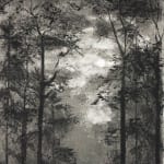 Fiona Fouhy, Nearby, 2024
