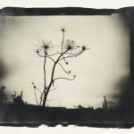 Summer Secret Bid Auction 2025, LOT 134: Rebecca Holmes - Sunsets in my Mind, 2025