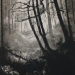 Fiona Fouhy, I Rose and Fell, 2025