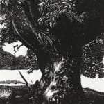 Dulwich College Secret Bid Auction 2025, LOT 152: Roantree x Kummattummal - Rewilding III, 2022