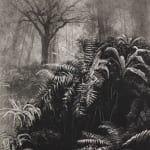 Fiona Fouhy, I Rose and Fell, 2025