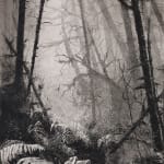 Fiona Fouhy, I Rose and Fell, 2025
